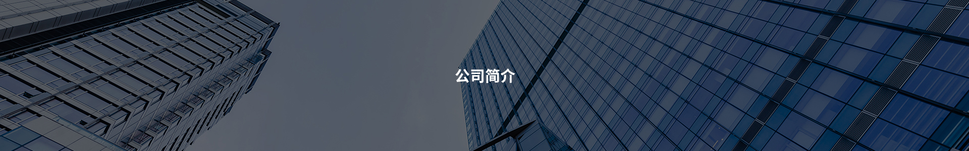 公司簡介